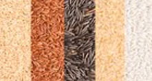 Barley - Final